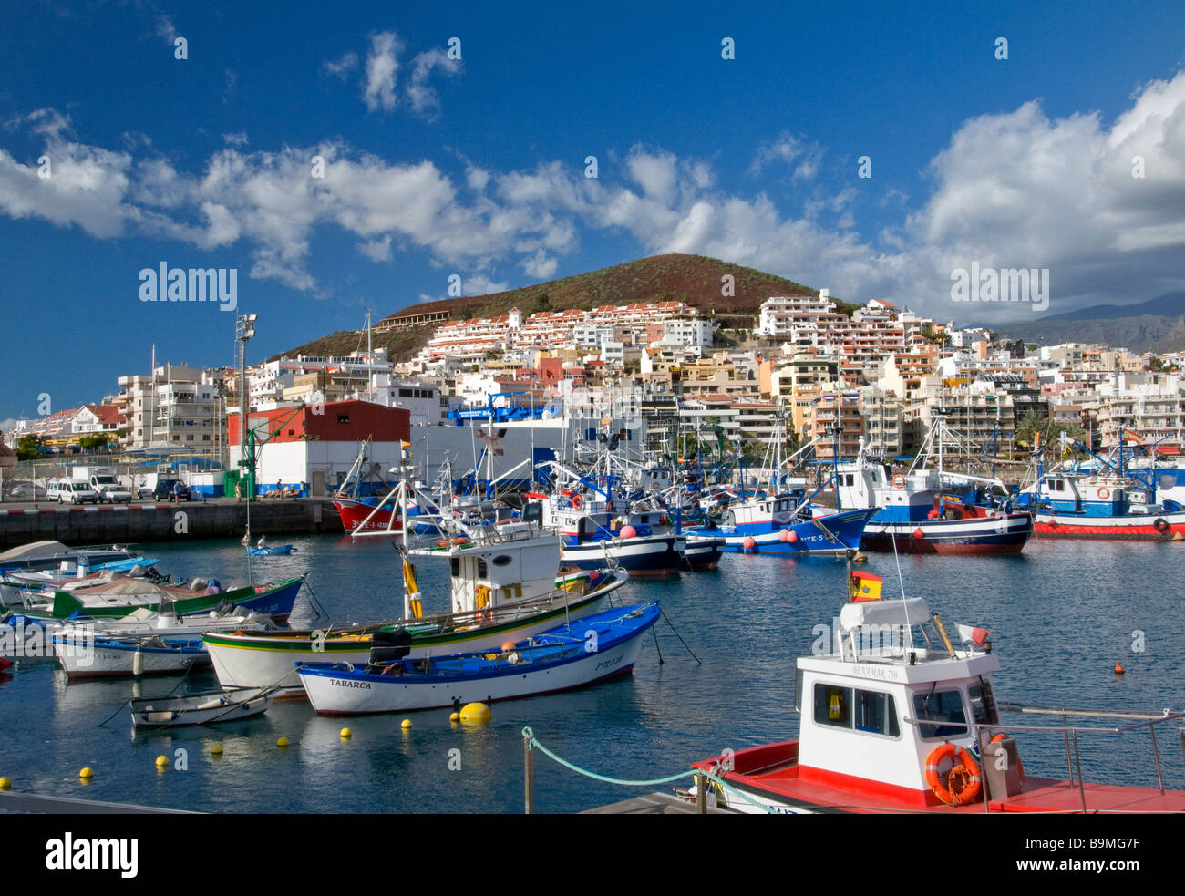 LOS CRISTIANOS Traditional colourful fishing boats moored in Los ...