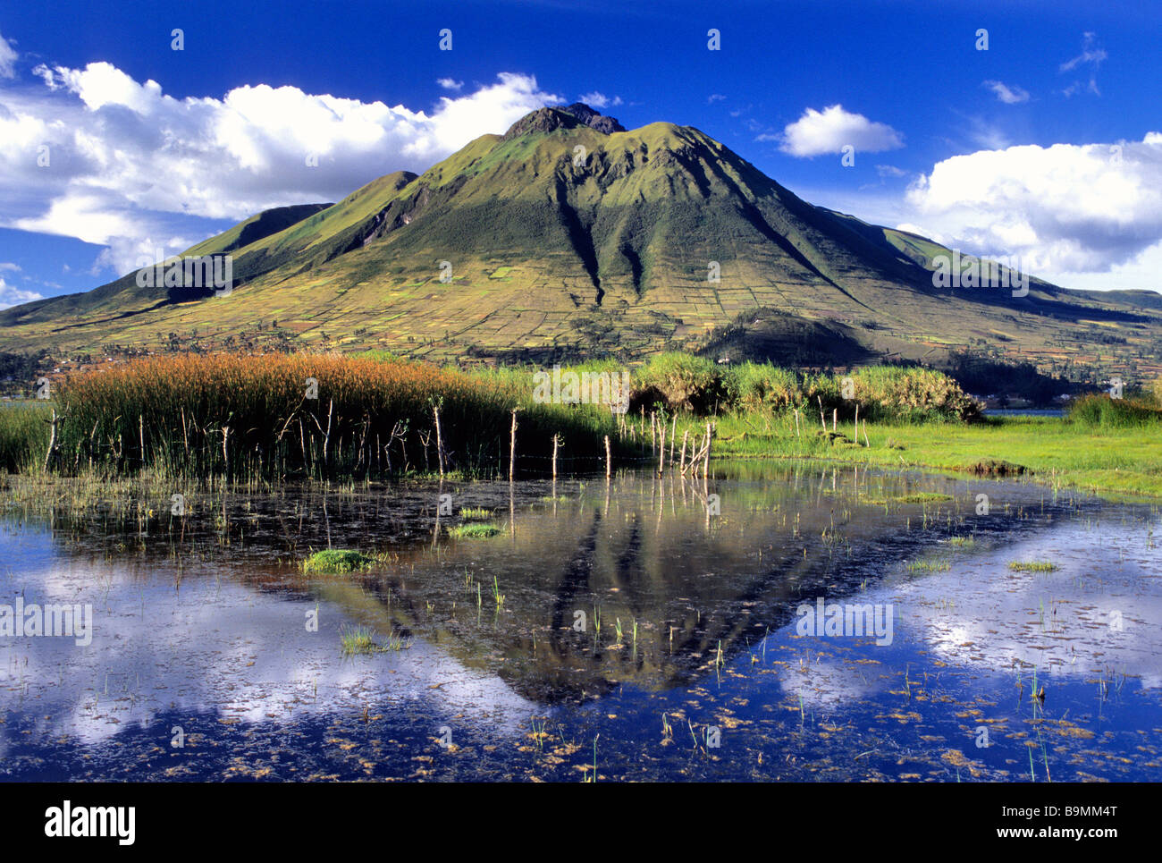 Ecuador, Imbabura province, cultivations at the bottom of Imbabura