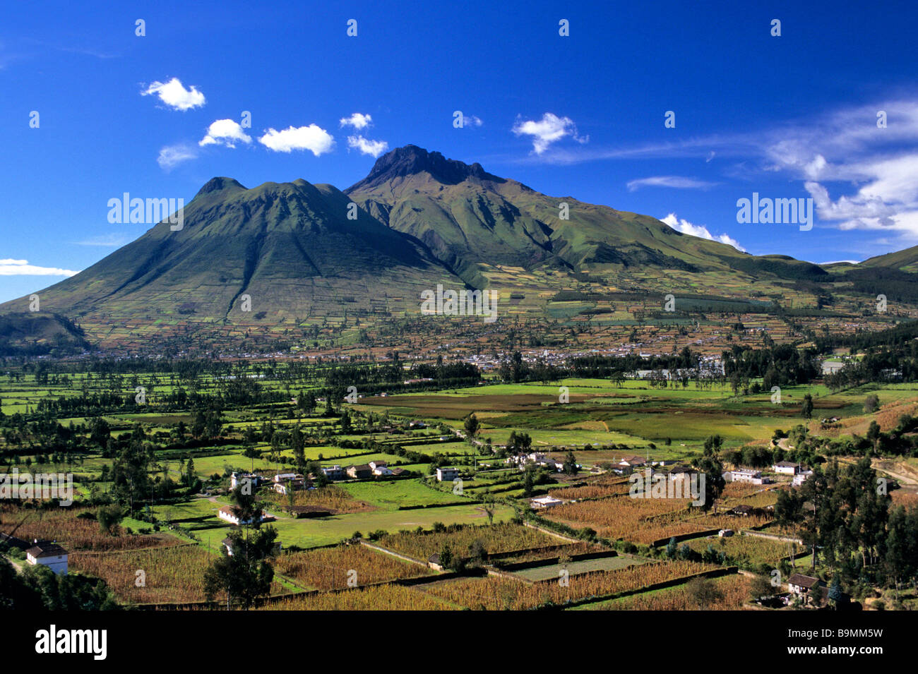 Ecuador, Imbabura province, cultivations at the bottom of Imbabura
