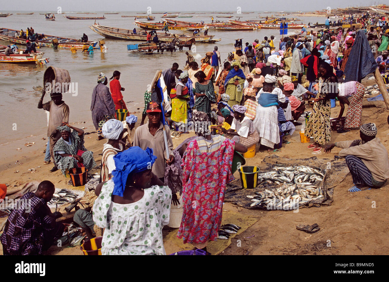 Senegal, Petite Cote, Mbour, Fishers' coming back to the beach Stock Photo
