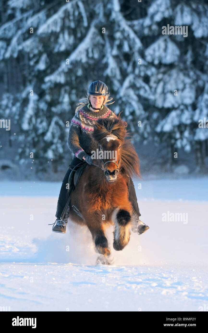 Animal horse riding rider winter snow leisure people recreation female ...