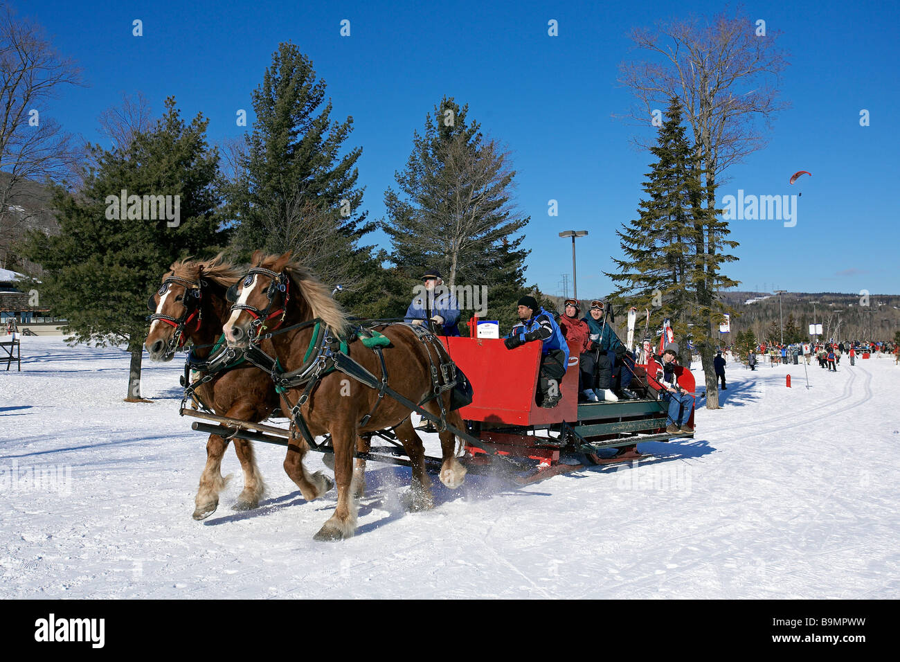 Canada, Quebec Province, Famous MontSainteAnne ski resort, Horse