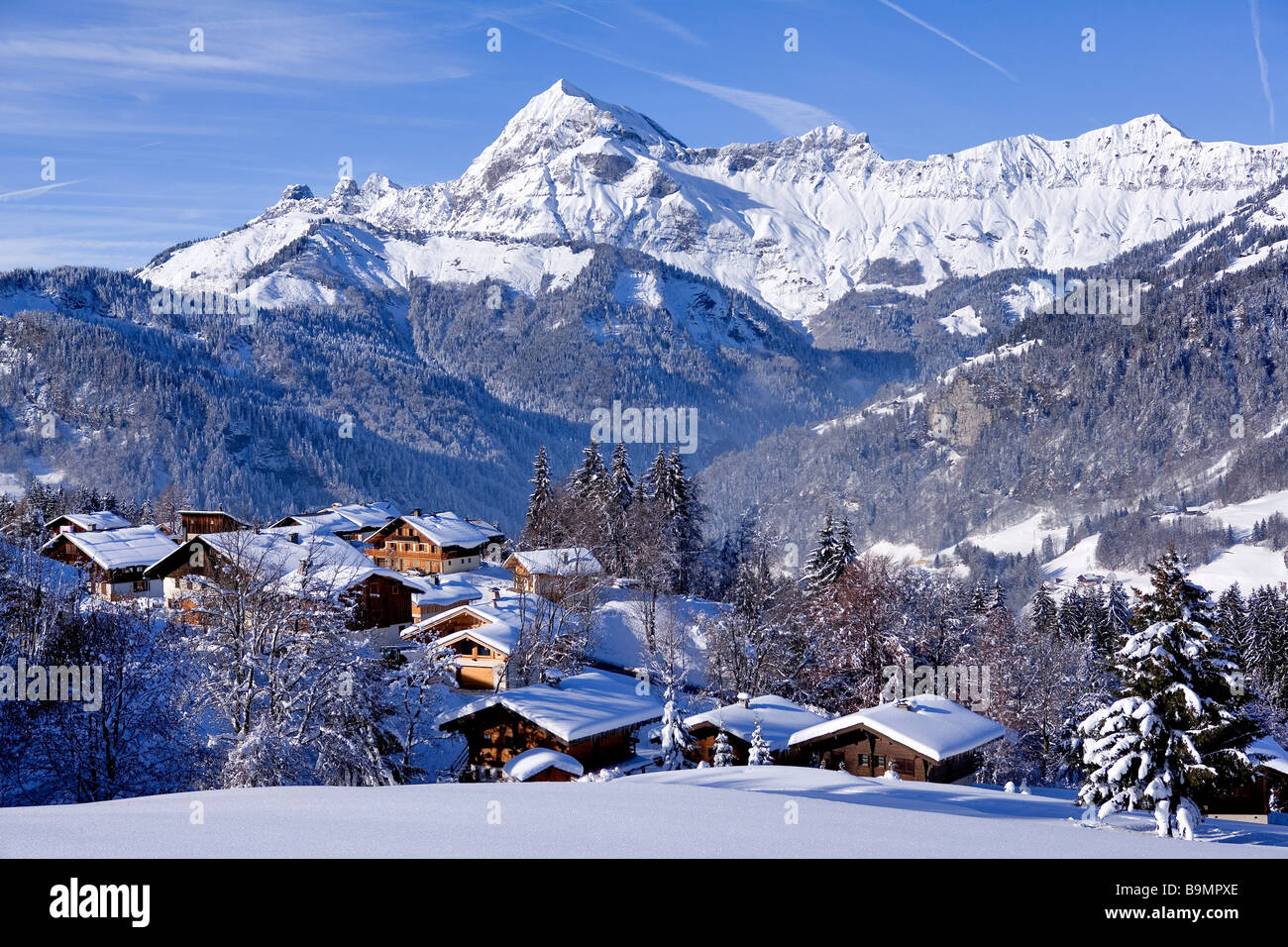 France, Savoie, Crest Volant, the Beaufortin mountain range Stock Photo