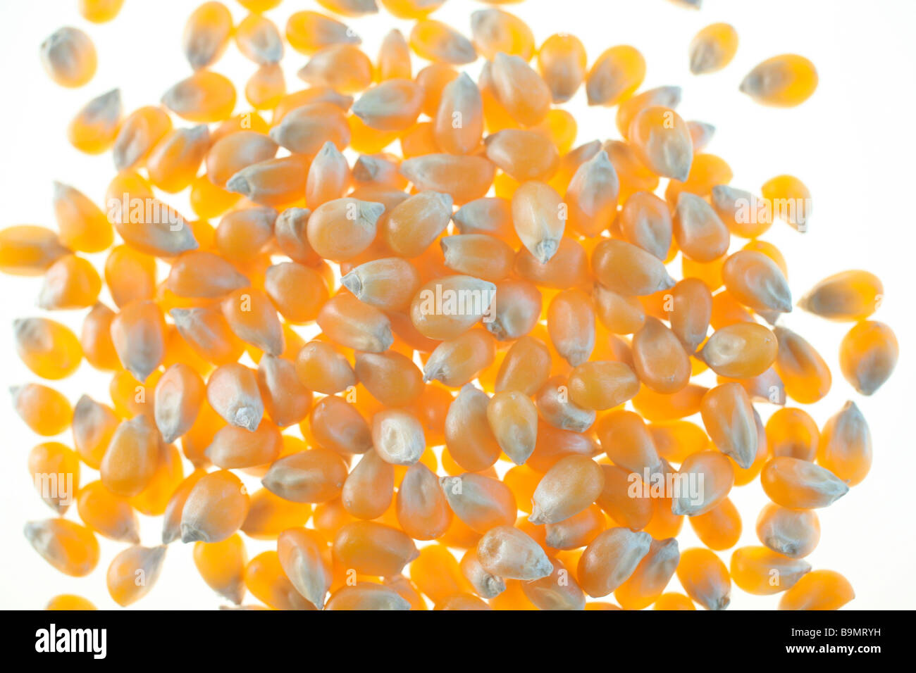 Popping corn hires stock photography and images Alamy