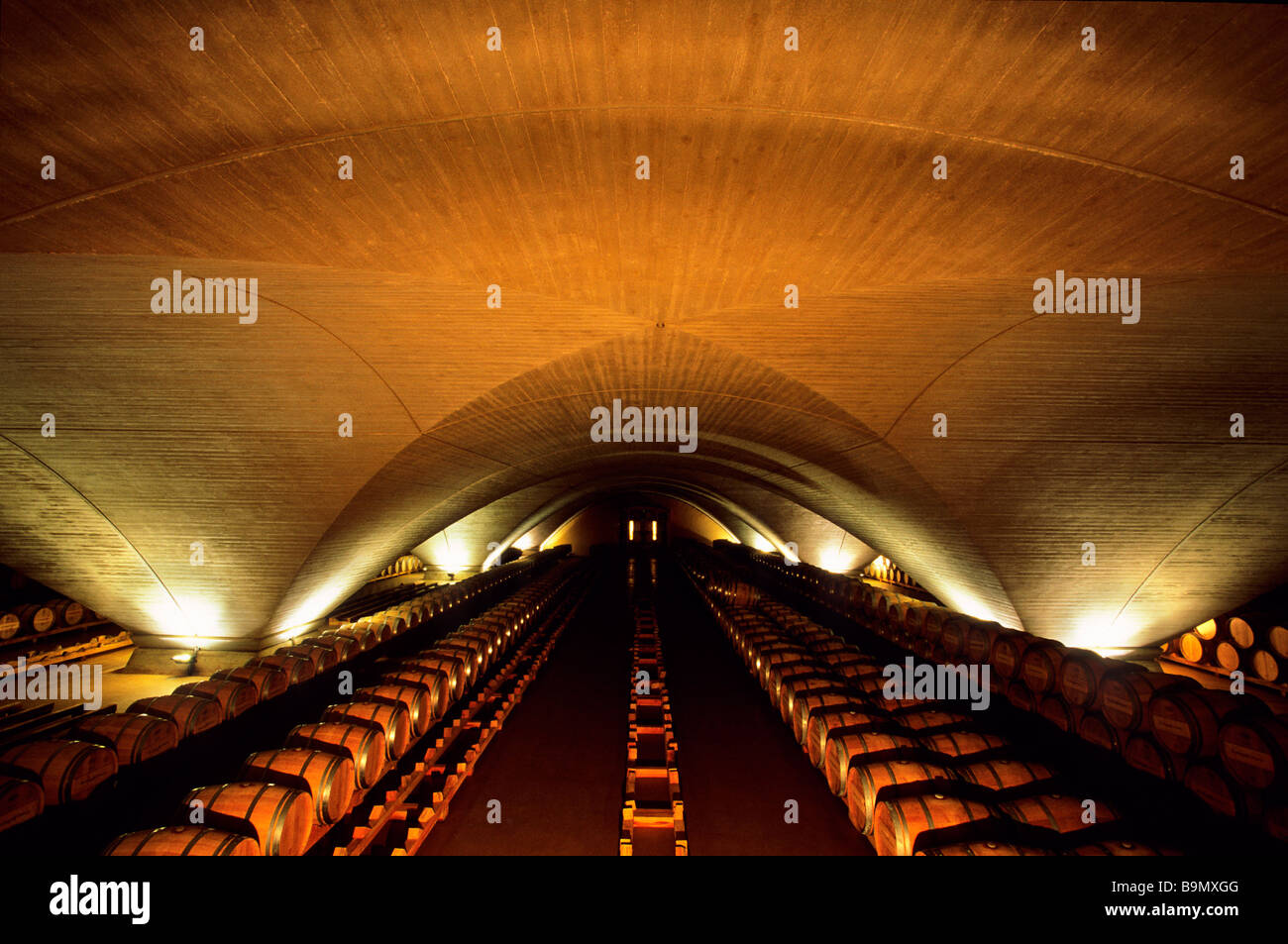 Spain, Navarre, Echauri (Etxauri), Otazu, the Bodega Otazu, underground