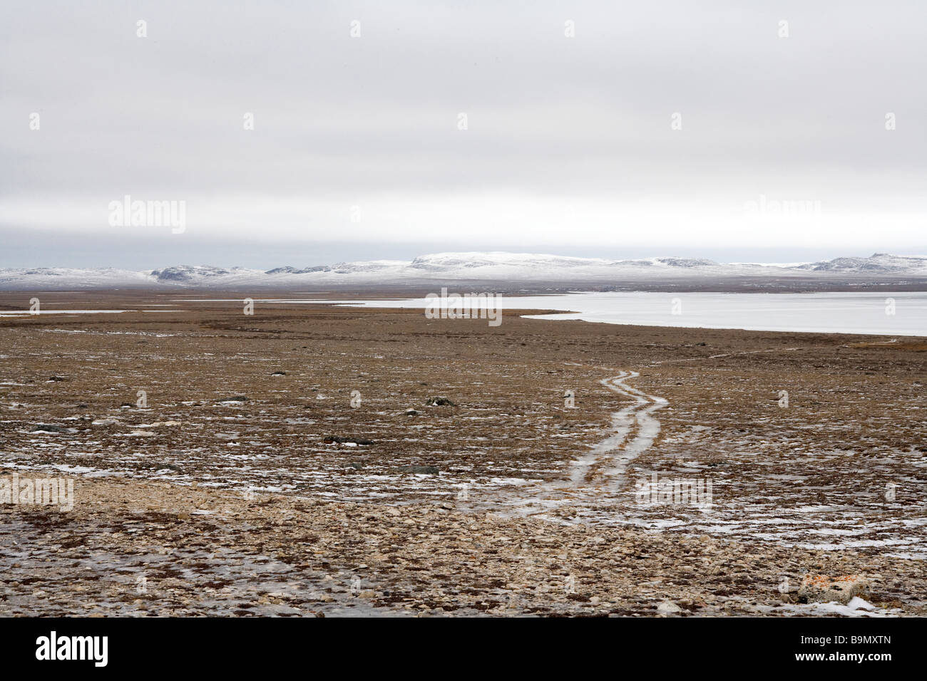 Landscape with track to coast, Nunavut, Canadian arctic, Canada Stock Photo