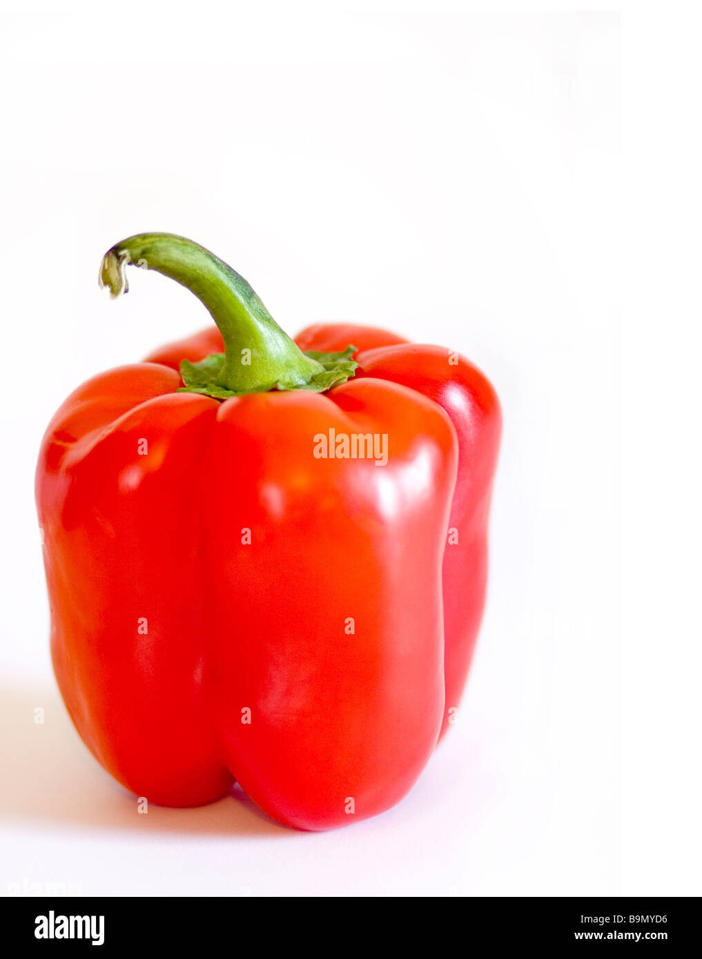A fresh red pepper isolated on white background Stock Photo - Alamy