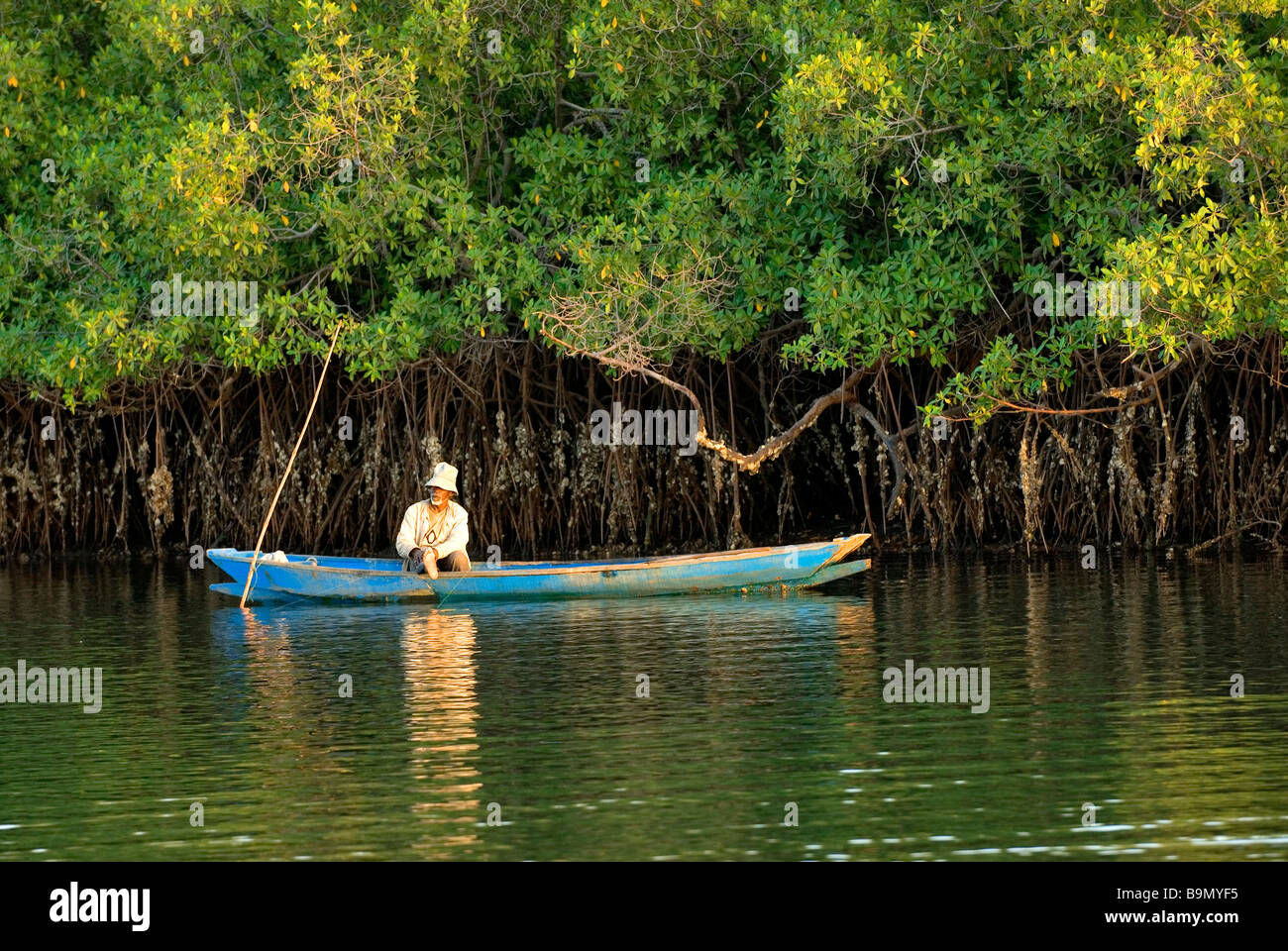 Senegal, Delta du Saloum National Park, biosphere reserve, fisherman Stock Photo