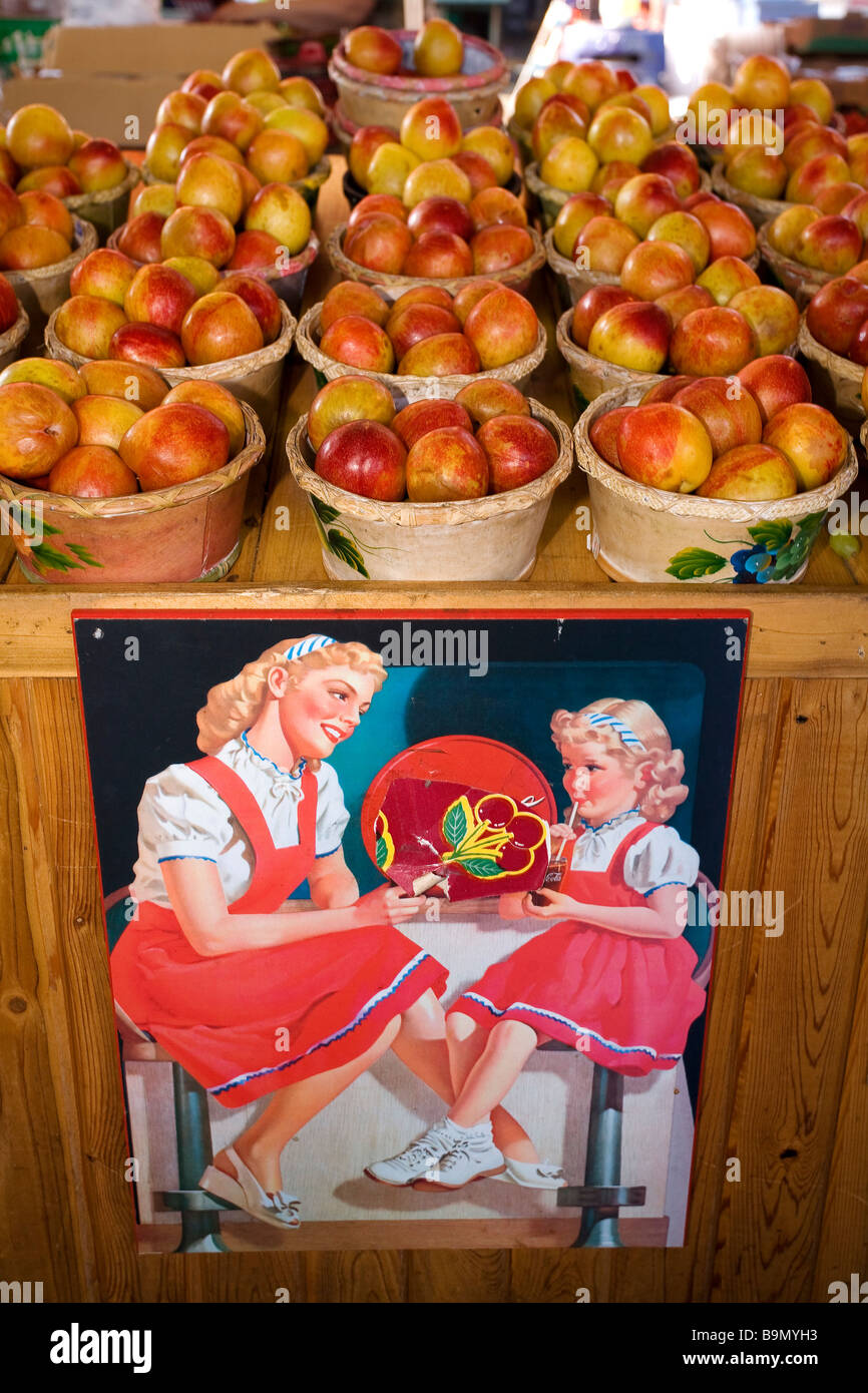 Canada, Quebec Province, Montreal, Jean Talon Market in Little Italy District, apples Stock Photo