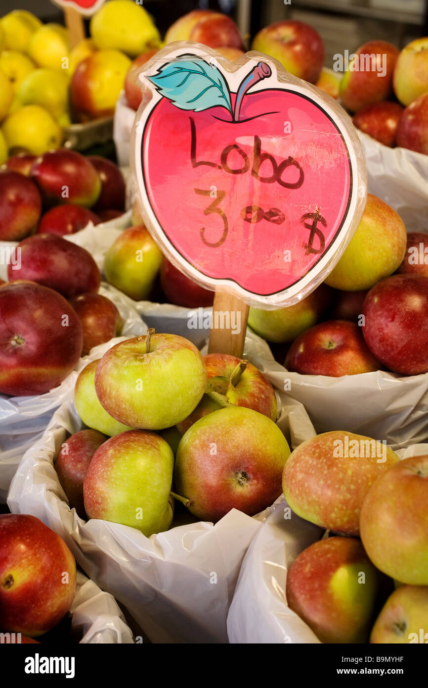 Canada, Quebec Province, Montreal, Jean Talon Market in Little Italy District, lobo apples Stock Photo