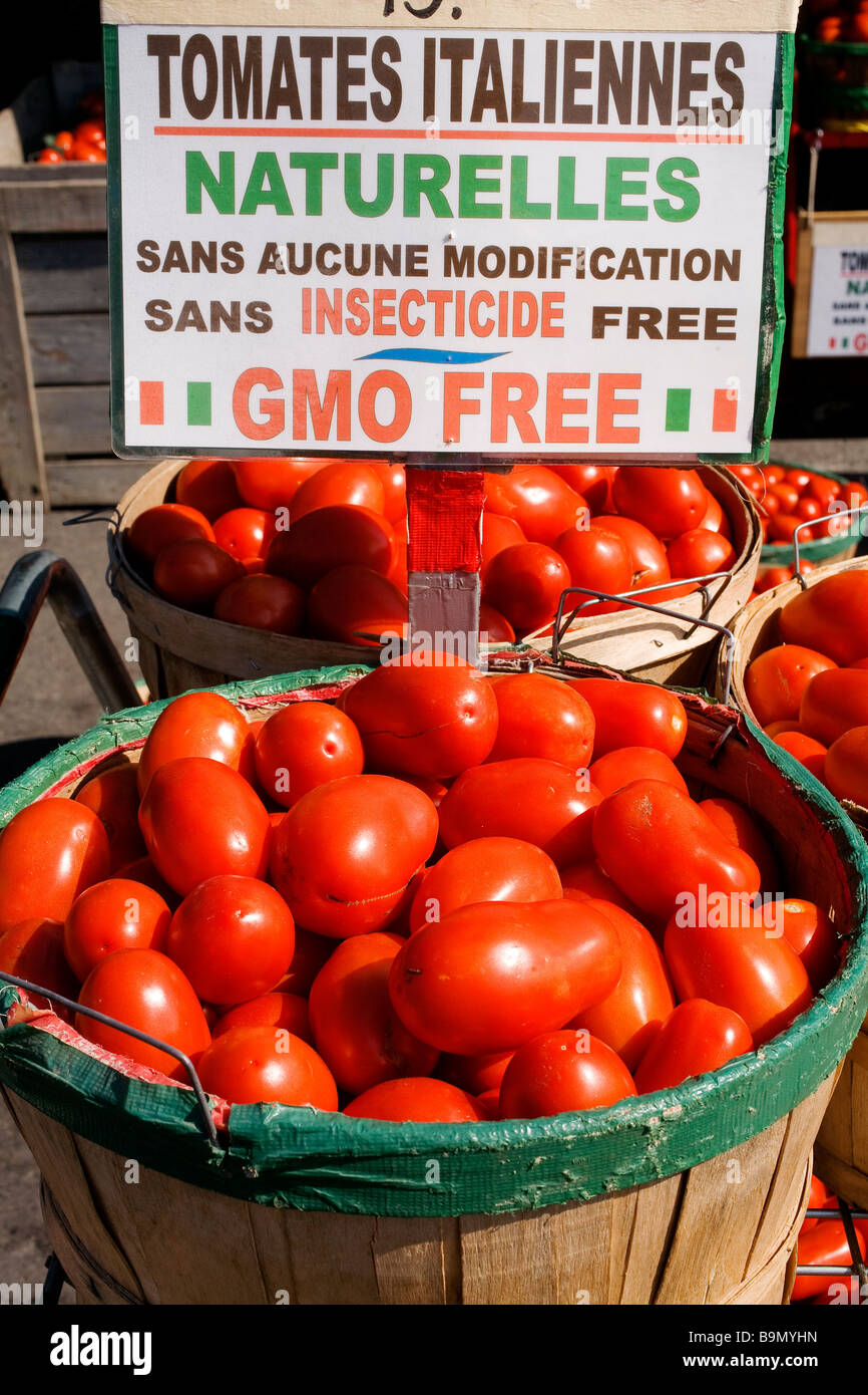 Canada, Quebec Province, Montreal, Jean Talon Market in Little Italy District, organic tomatoes Stock Photo