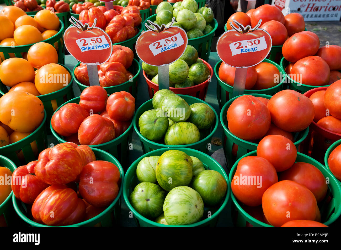 Canada, Quebec Province, Montreal, Jean Talon Market in Little Italy District, tomatoes Stock Photo