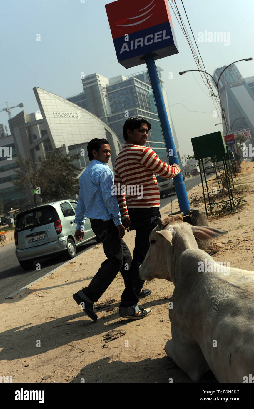 Two Indians crossing past a cow in the street in Gurgaon Haryana, India with HQ's of Western multi-nationals in the background. Stock Photo