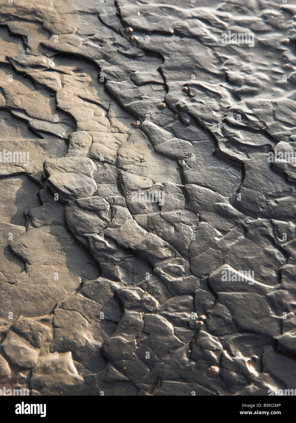 Patterns in the Shale at Saltwick Bay Whitby North Yorkshire UK Stock Photo