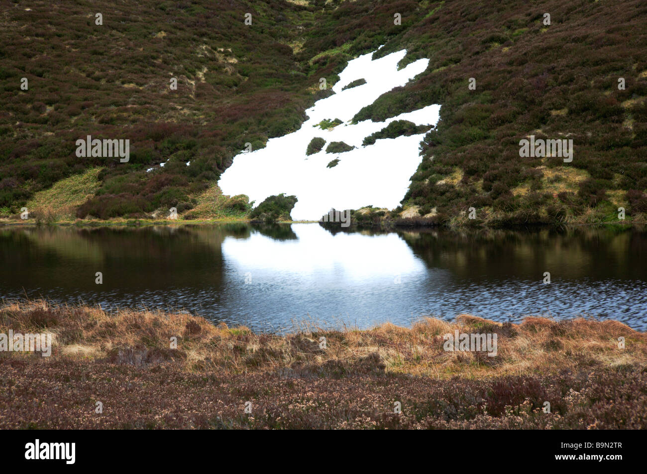 Melting snow with reflection in small lochan on Clayhooter Hill, Clova
