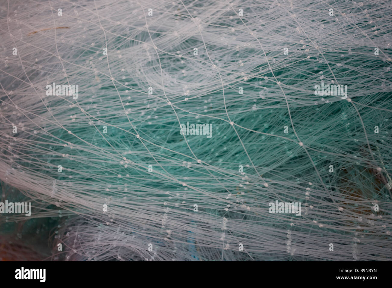 Monofilament fishing net close-up Stock Photo - Alamy