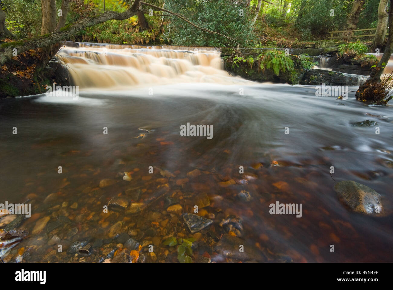 Water flows over the weir at Paper Mill Dam on the River Rivelin, in Rivelin Valley, Sheffield. Stock Photo