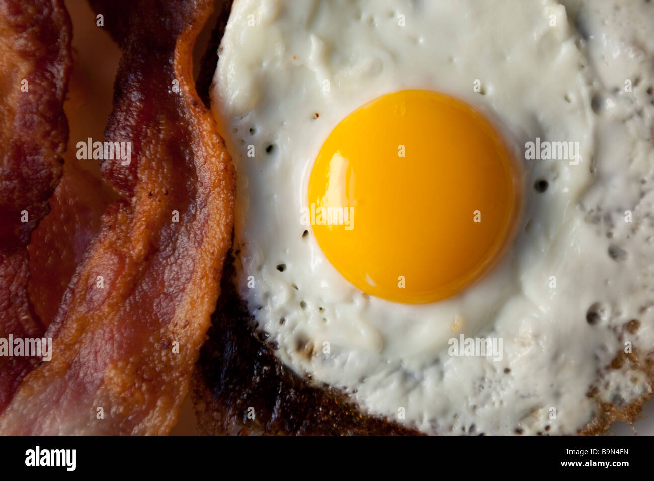 Burnt fried egg hires stock photography and images Alamy
