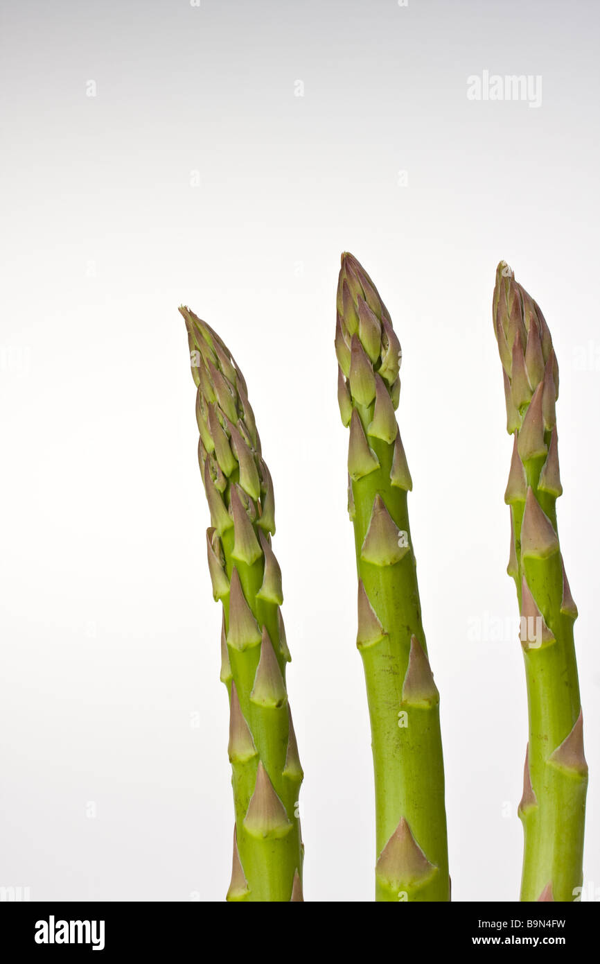 three asparagus tips Stock Photo Alamy