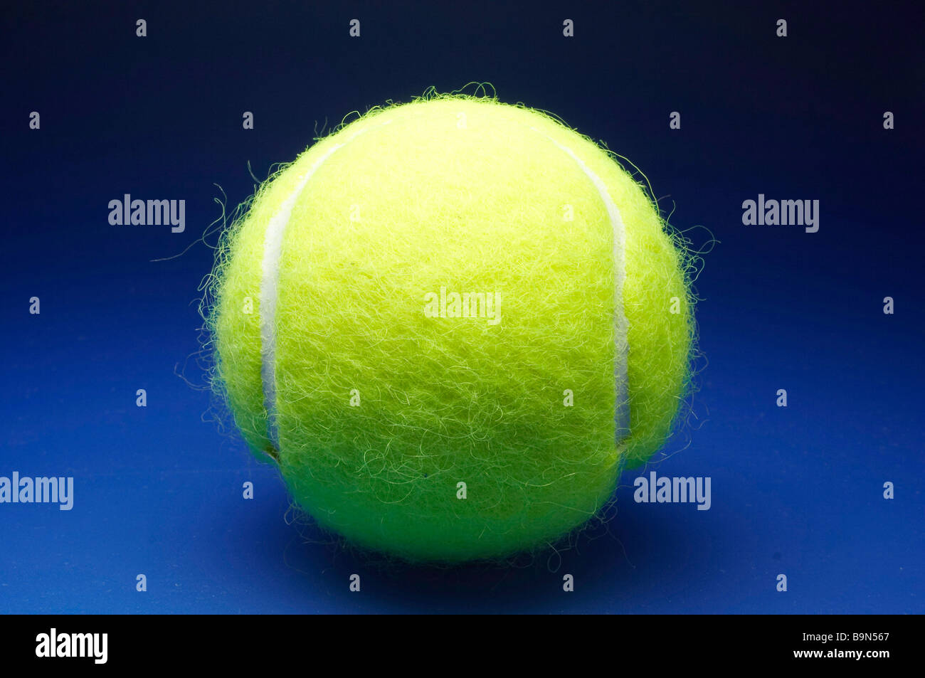 a yellow tennisball in front of blue background Stock Photo Alamy