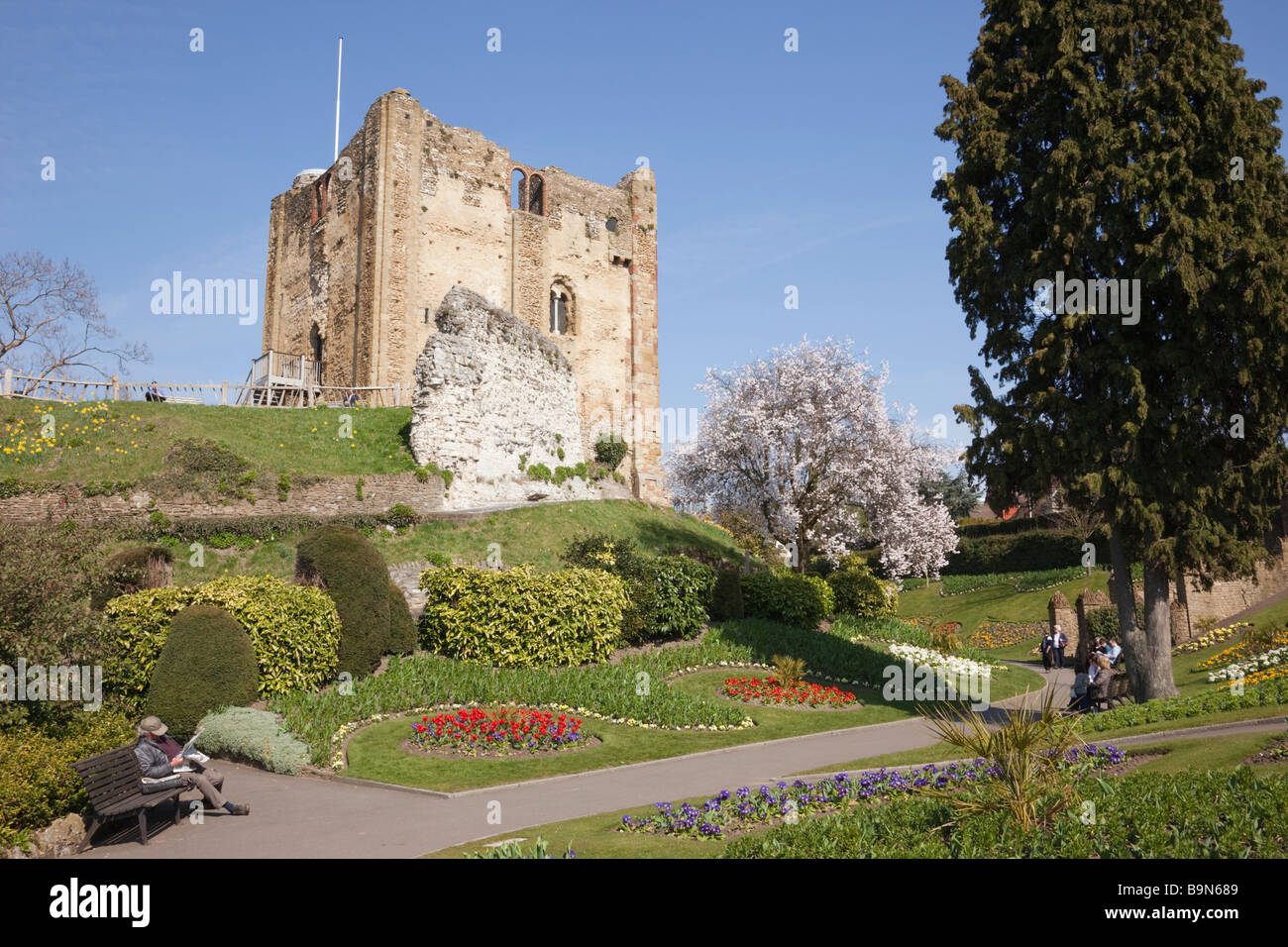 Guildford Surrey England UK Guildford Castle 12th century tower Keep in gardens in spring Stock Photo