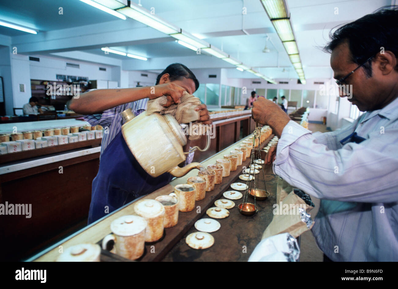 India, West Bengale, Calcutta, Goodrick Company headquarters, tea preparation for a test by a taster Stock Photo