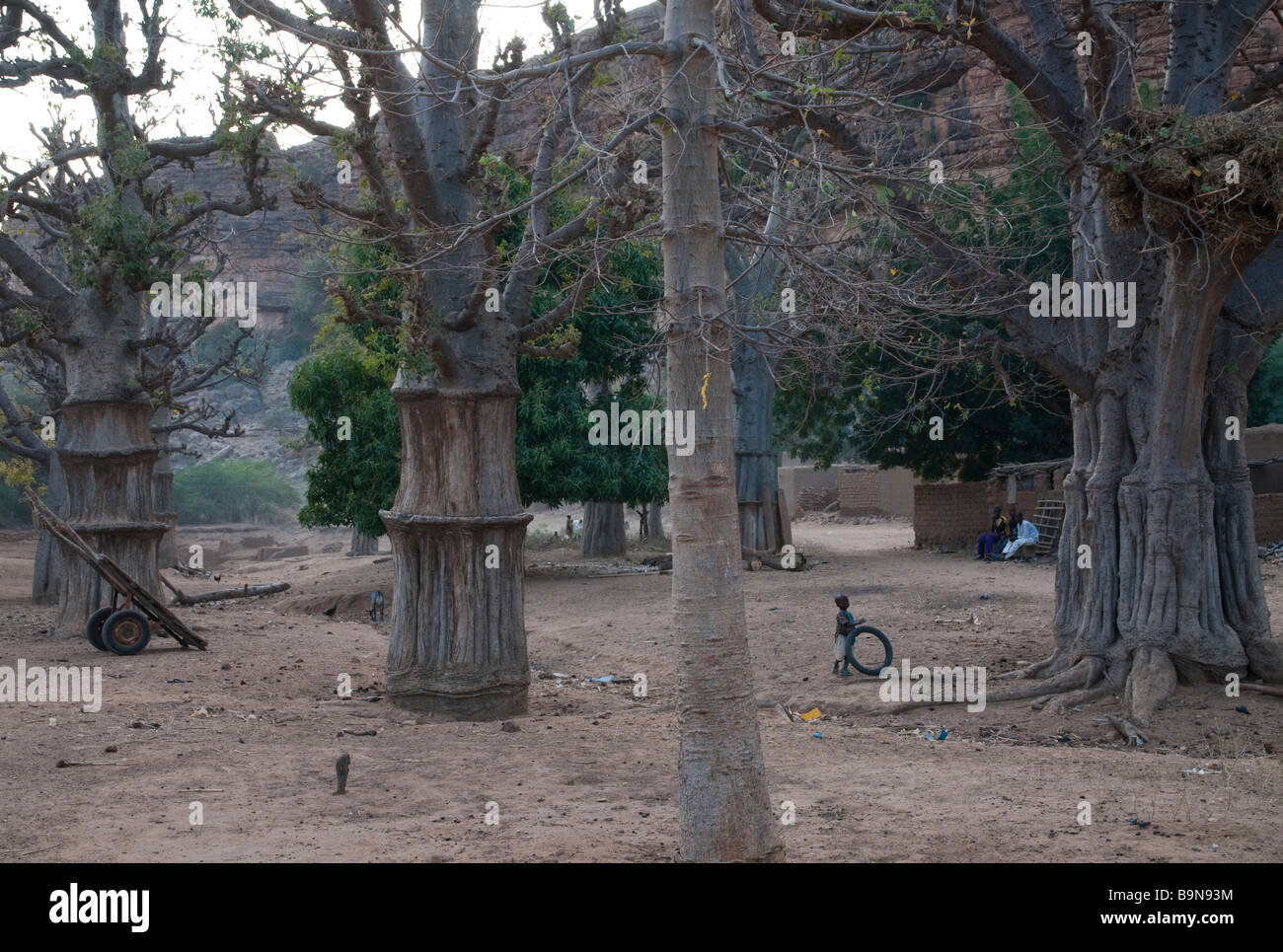 West Africa Mali Dogon country Kani Kombole village young child playing amongst baobabs Stock Photo