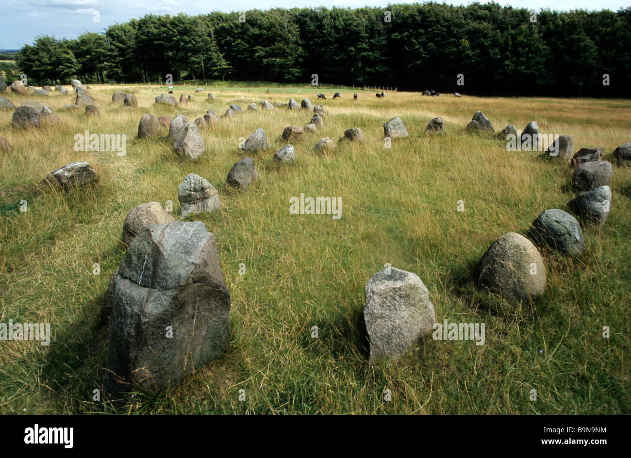 Denmark, Jutland, Lindholm Hoje Necropolis, Viking tombs drakkar shaped Stock Photo