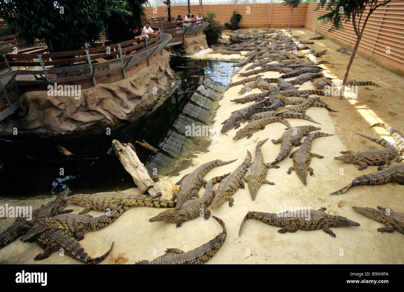 France, Drome, Drome Provencale, Pierrelatte, La Ferme aux crocodiles ( Crocodile Farm Stock Photo - Alamy