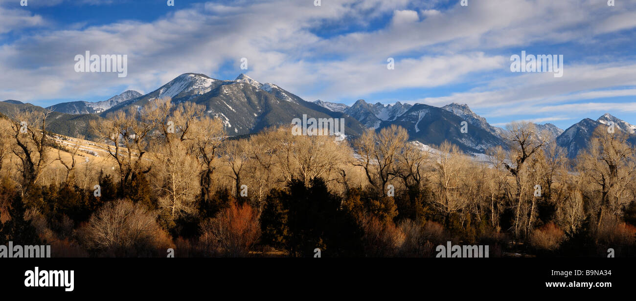 Cottonwood trees yellowstone hires stock photography and images Alamy