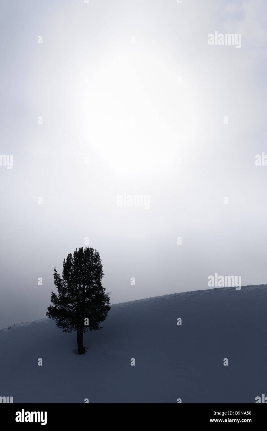 Harsh hillside environment hi-res stock photography and images - Alamy