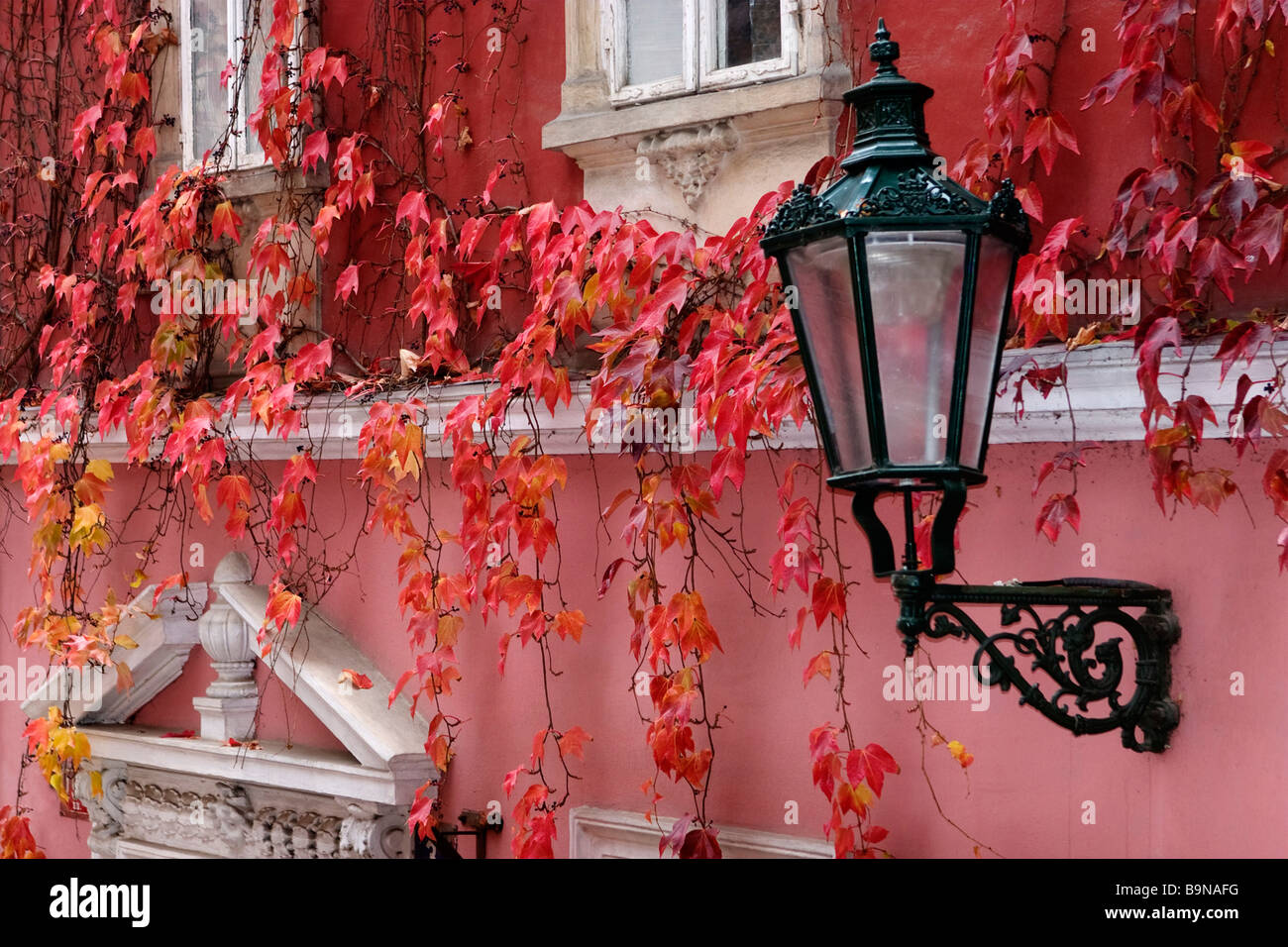Wall with street light covered with vines in autumn. Stock Photo