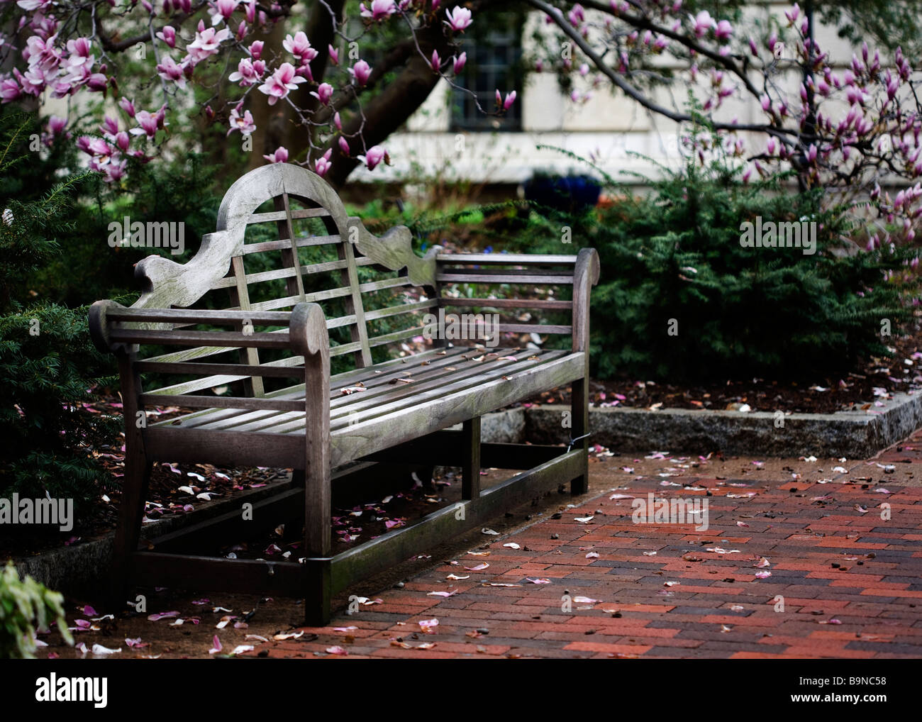 Ornate wooden bench Stock Photo