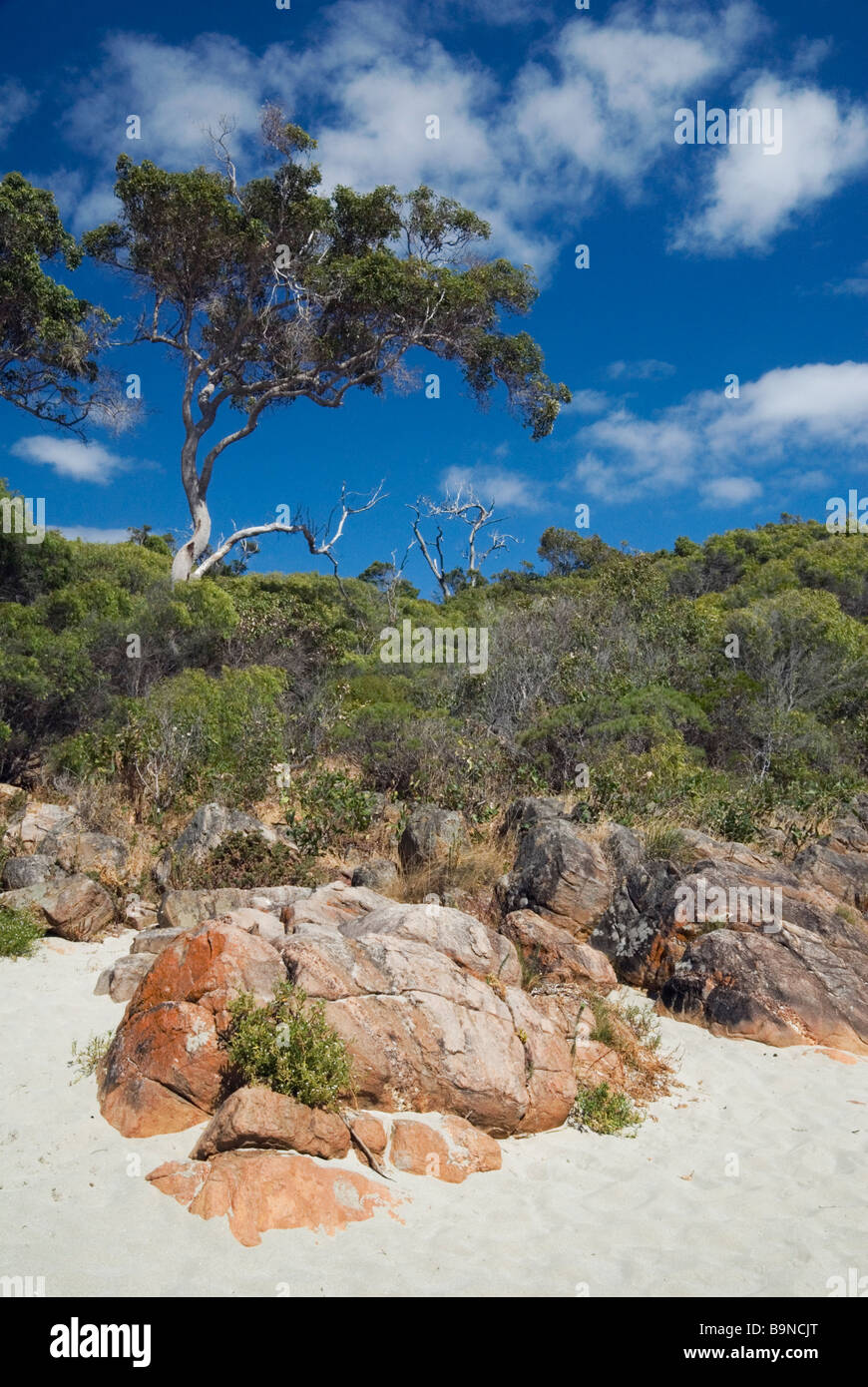 Australian beach and native bush scene, Western Australia Stock Photo
