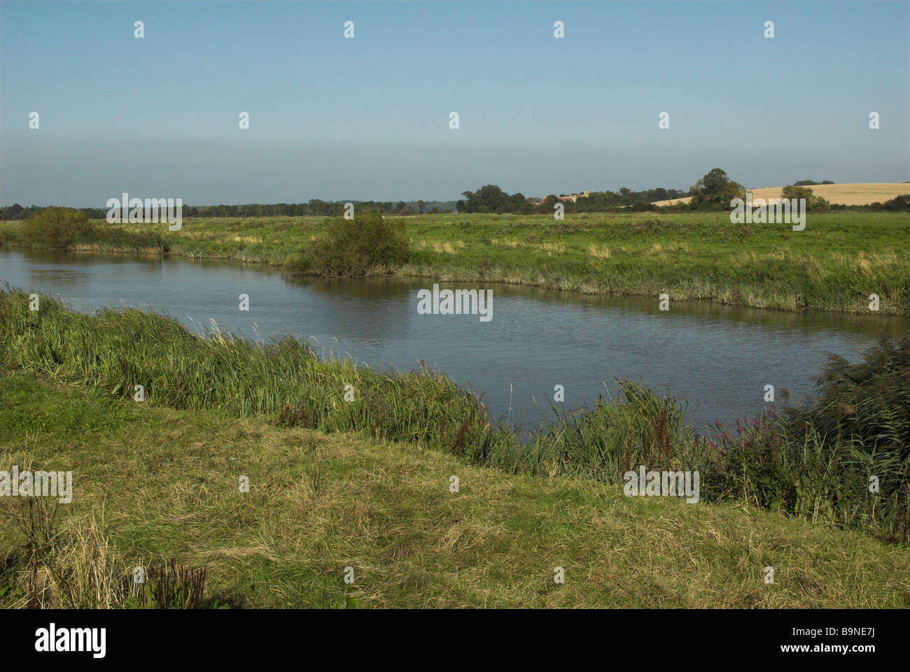 The River Arun near Bury in West Sussex Stock Photo Alamy