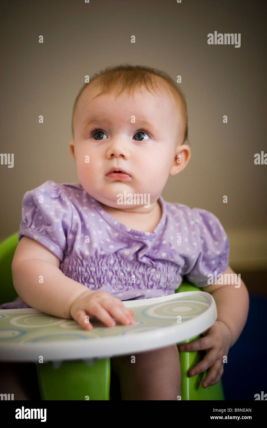 Baby sitting in high chair Stock Photo Alamy