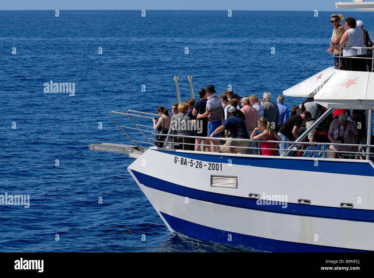 The exciment among the tourists on the dolphin search boat. Puerto Rico, Gran Canaria, Canary Islands, Spain, Europe. Stock Photo