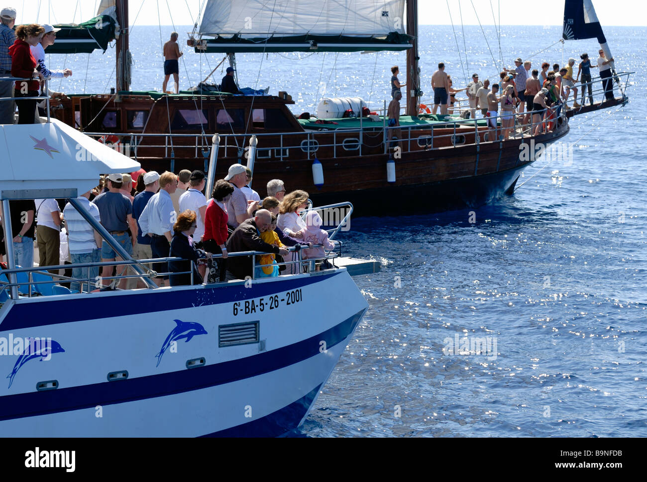The exciment among the tourists on the dolphin search boats, Puerto Rico, Gran Canaria, Canary Islands, Spain, Europe. Stock Photo
