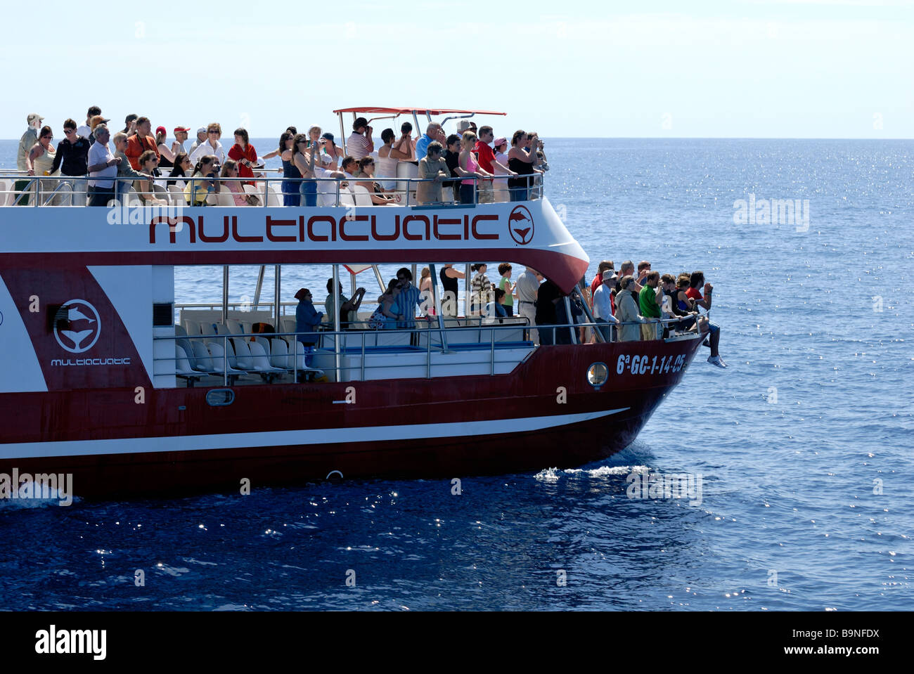 The exciment among the tourists on the dolphin search boat, Puerto Rico, Gran Canaria, Canary Islands, Spain, Europe. Stock Photo