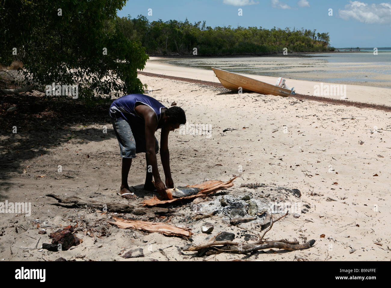 Aboriginal Australians visual data 6