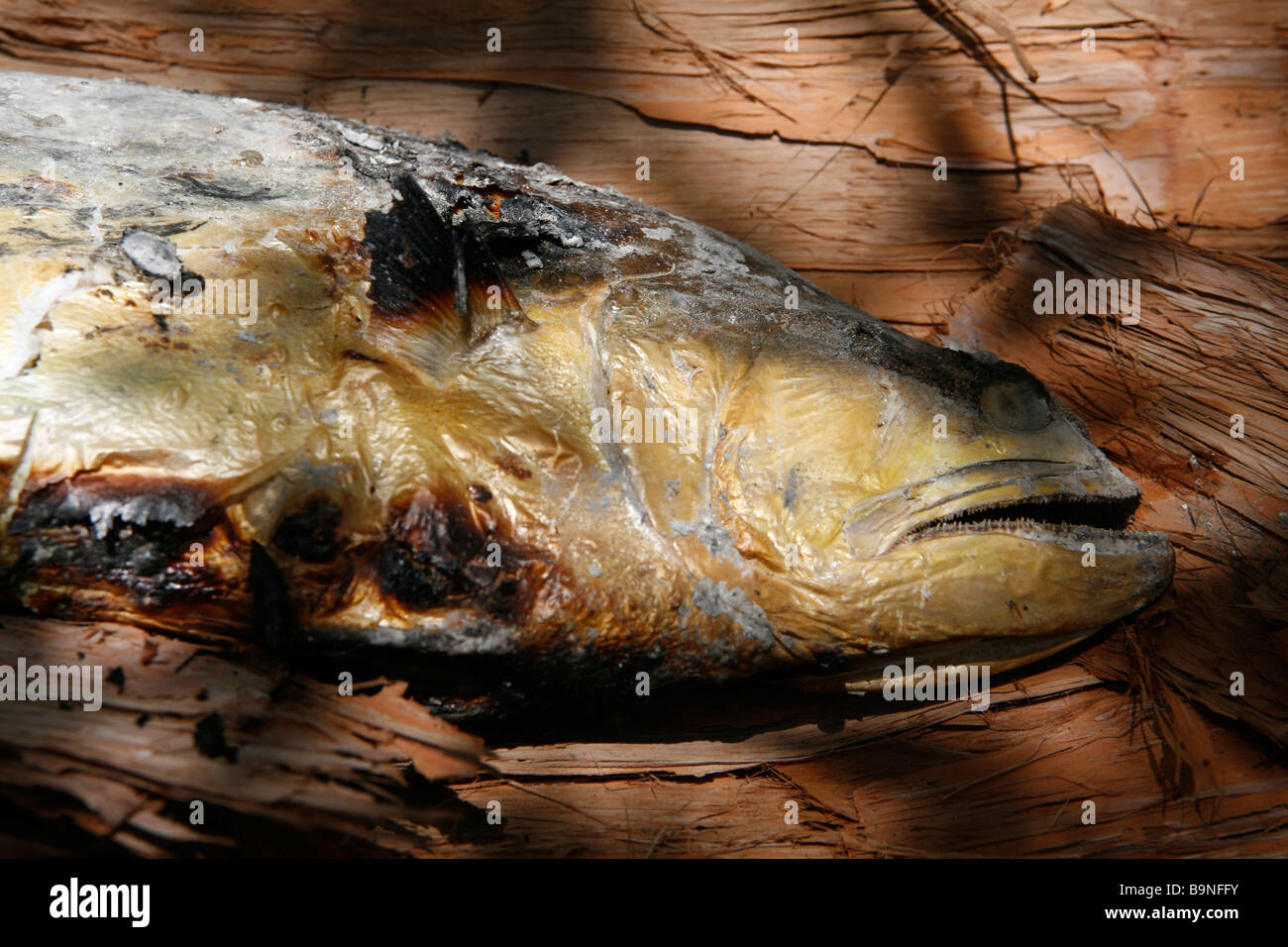 Aboriginal food australia hi-res stock photography and images - Alamy