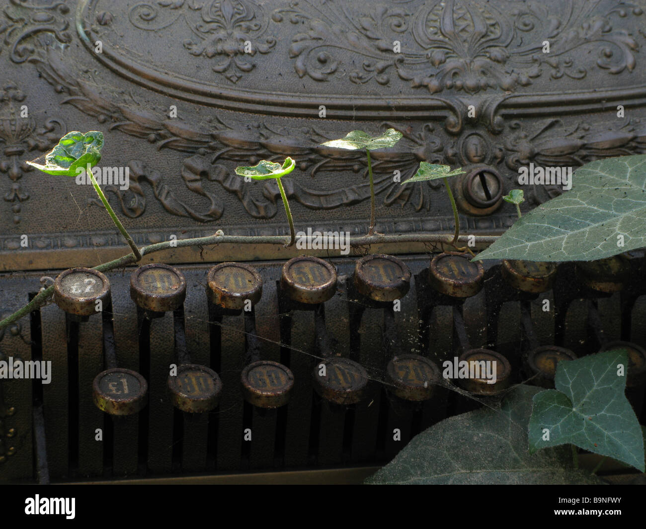 Shoots of ivy creep across the keys of an old brass shop till - cash register - among junk in a shed Stock Photo