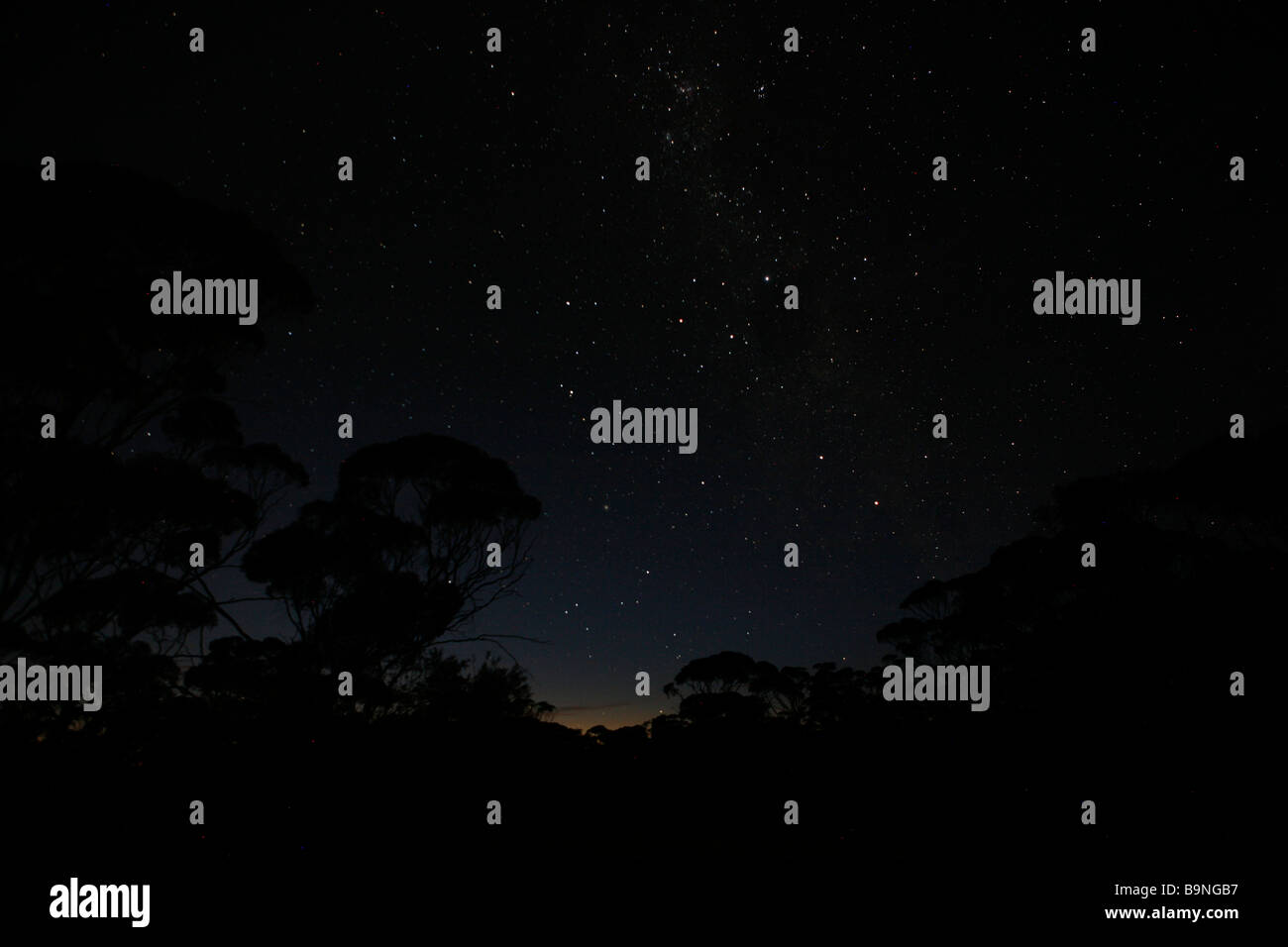 Starry sky, nature on the horizon, Australia. Stock Photo