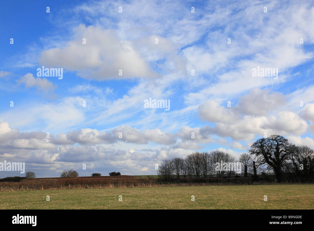 Fields in Sherbourne Gloucestershire England Stock Photo