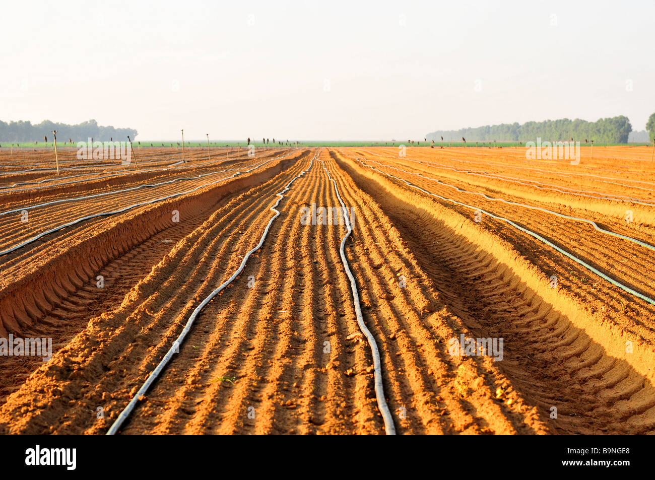 Agricultural agriculture farming hi-res stock photography and images - Page  15 - Alamy