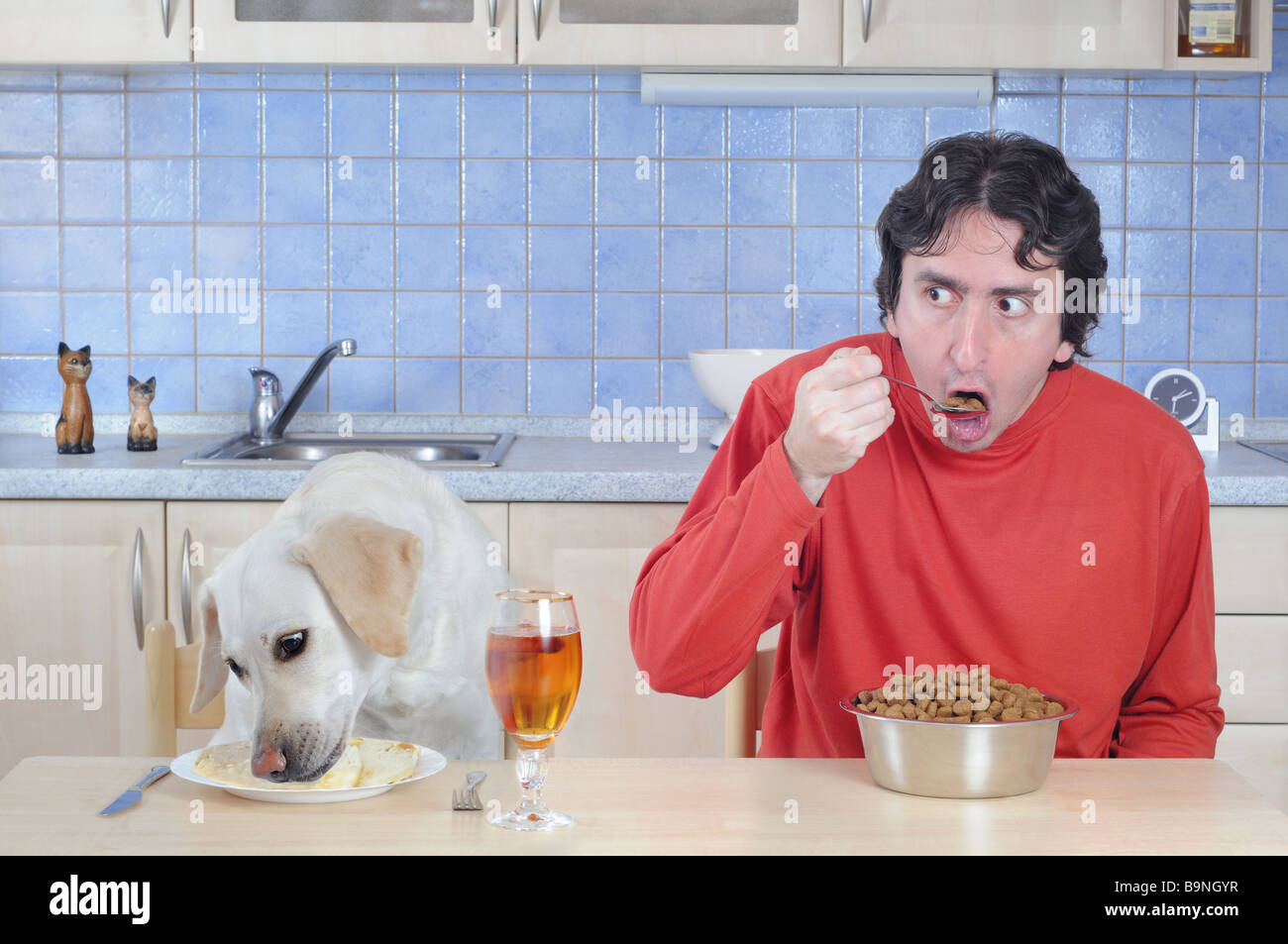 Role exchange - man and dog eating dinner. Stock Photo