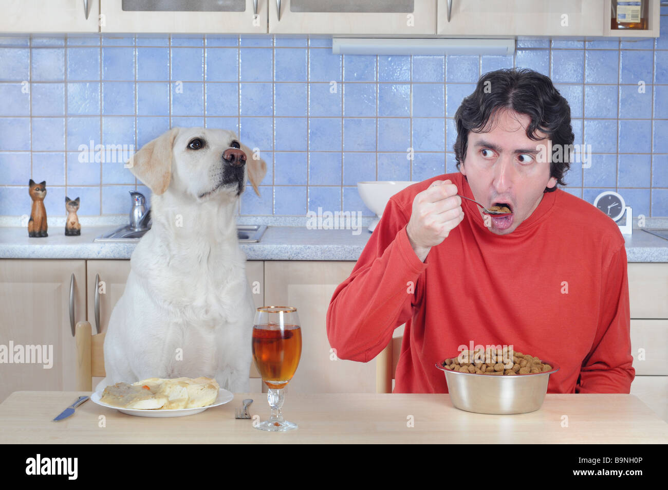 Role exchange - man and dog eating dinner. Stock Photo