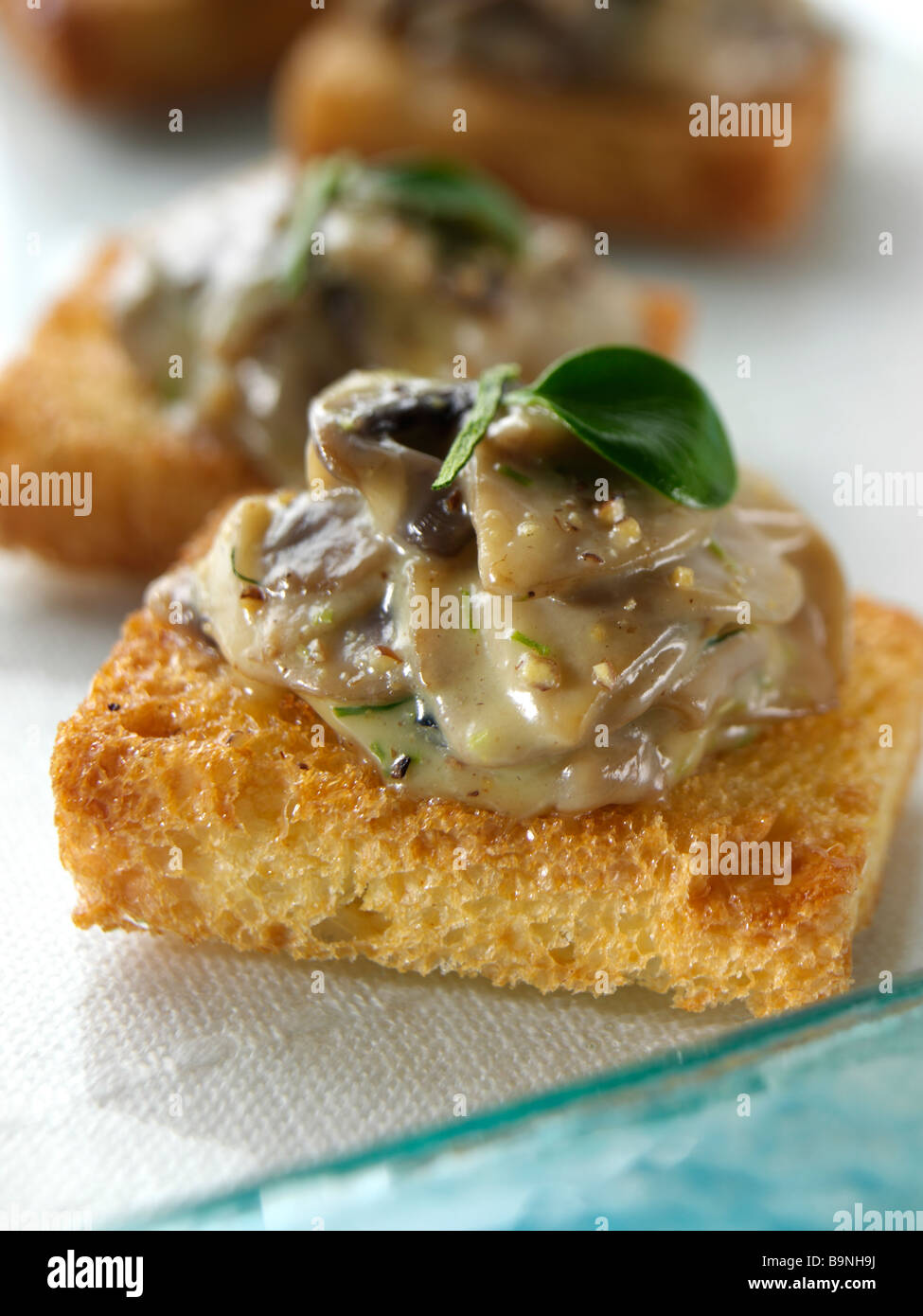 Creamy mushrooms on toasted brioche canapes Stock Photo Alamy