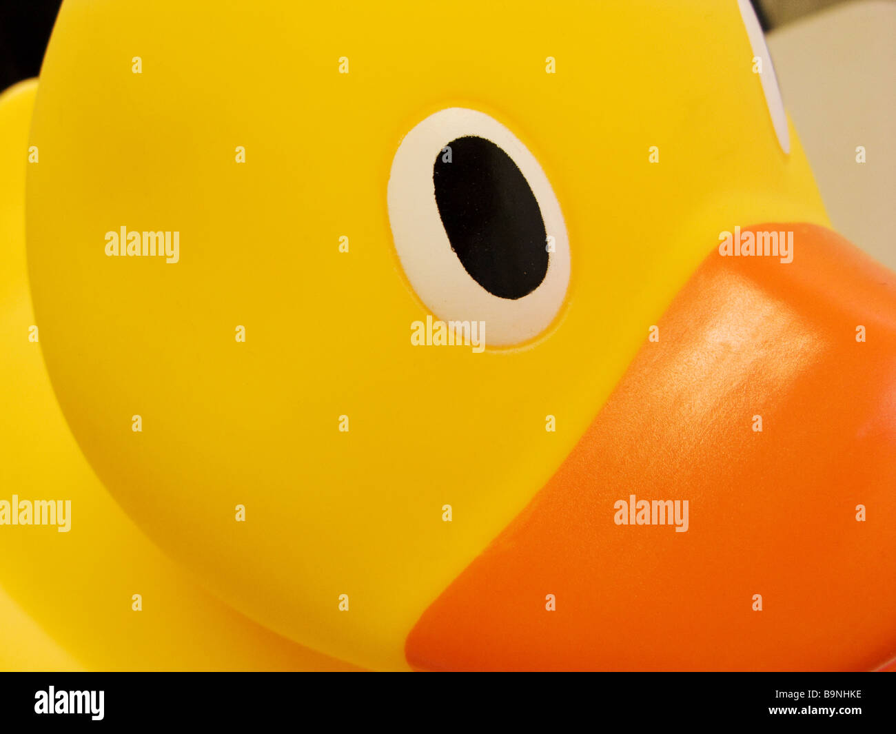 Big Yellow Duck Stock Photo Alamy