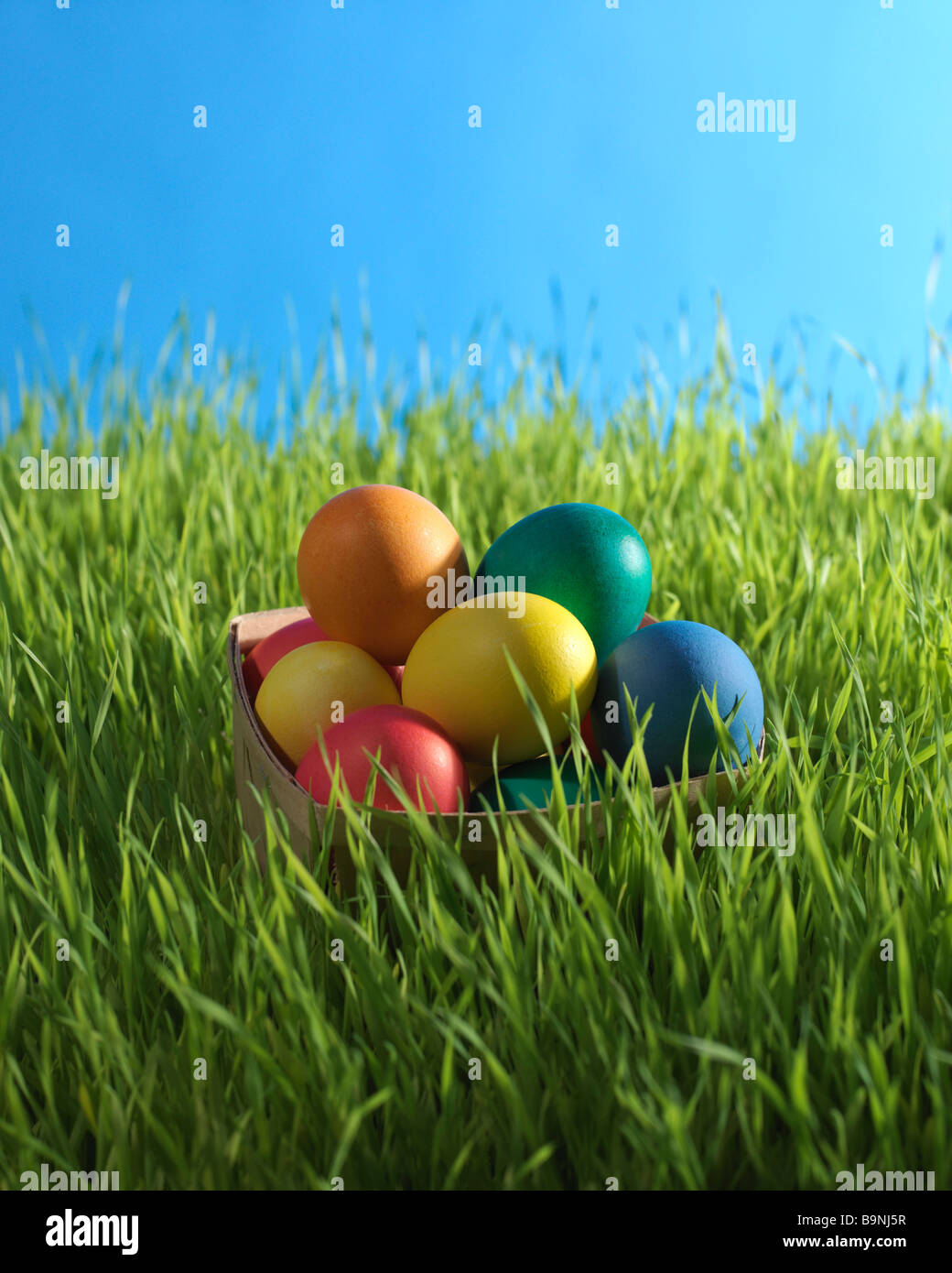 colored Easter eggs in basket in the the grass Stock Photo